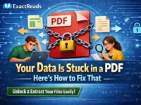 convert PDF to Excel